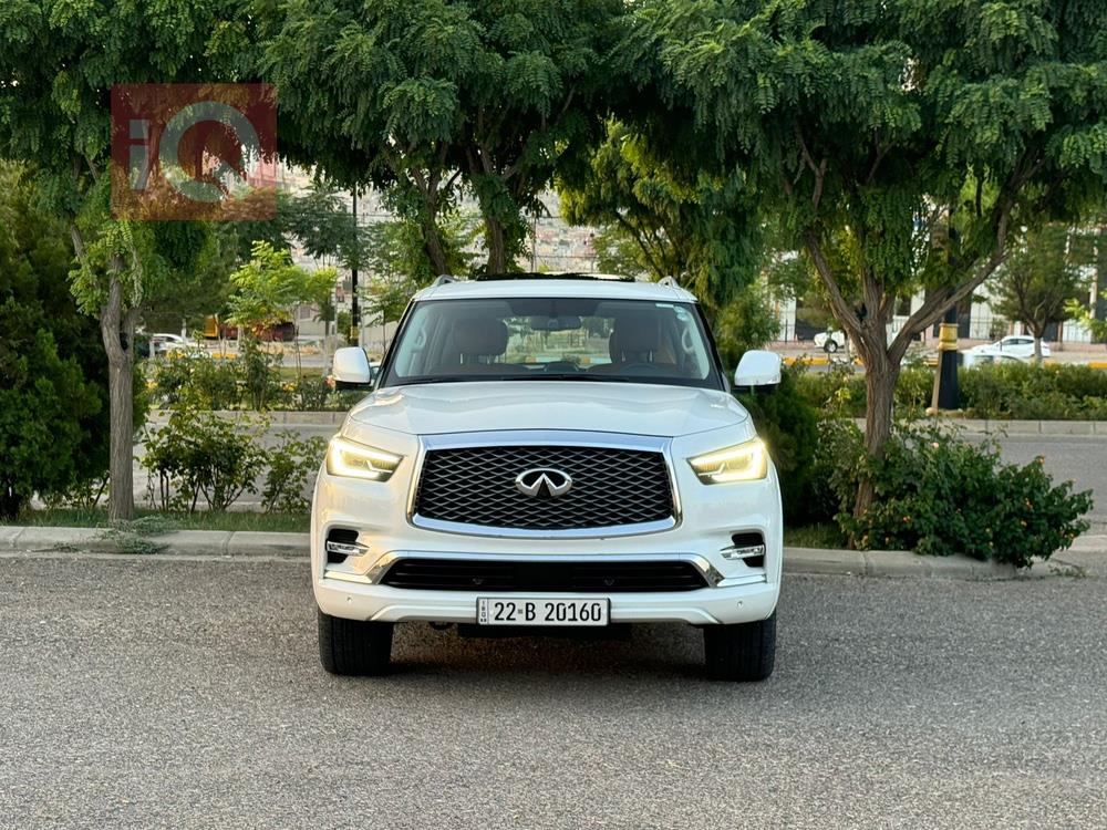 ئينفنتي QX80